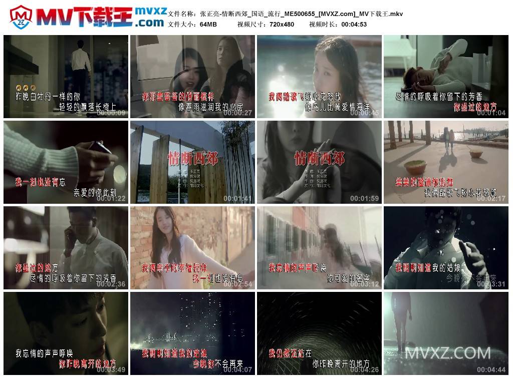 张正亮-情断西郊_国语_流行_ME500655